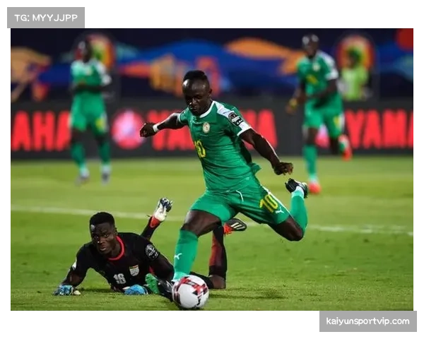 刚果主场赛事推动周边经济发展与文化体验融合引领非洲足球旅游新风潮